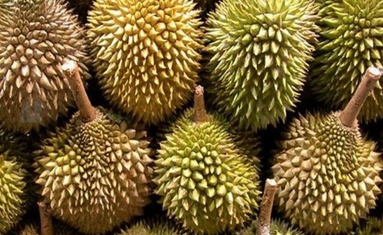 广州食堂承包